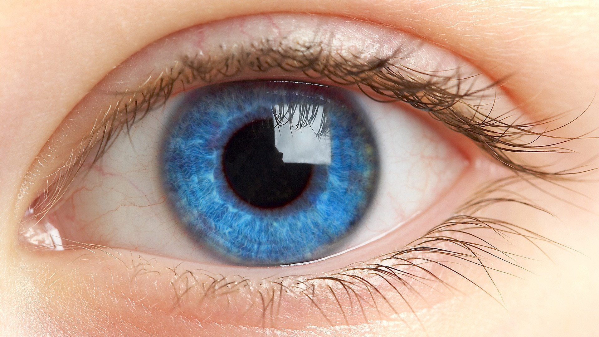 عکس چشم های زیبا و رنگی مخصوص پروفایل eye pic